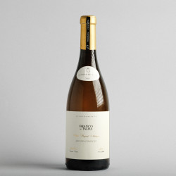 Branco de Talha, Branco, 2023